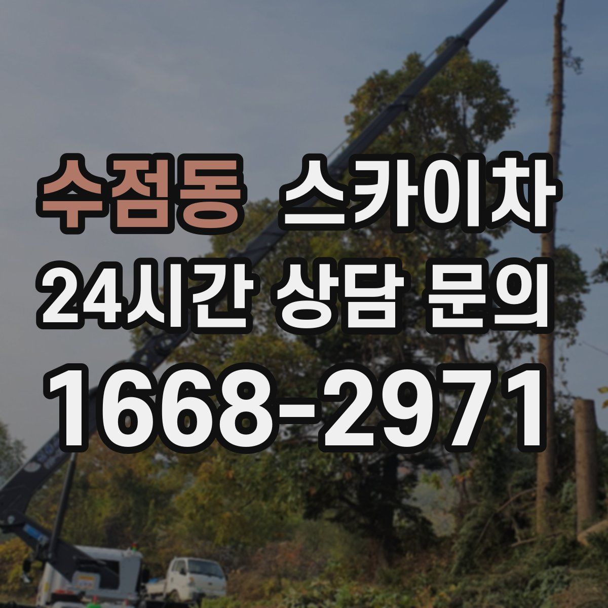 수점동 스카이차