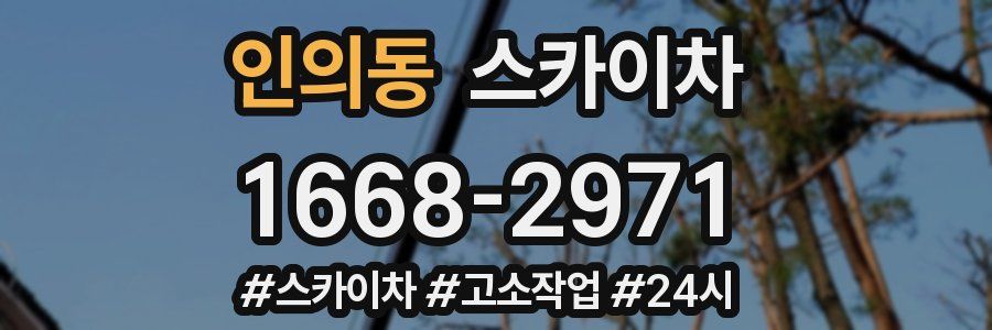 인의동 스카이차