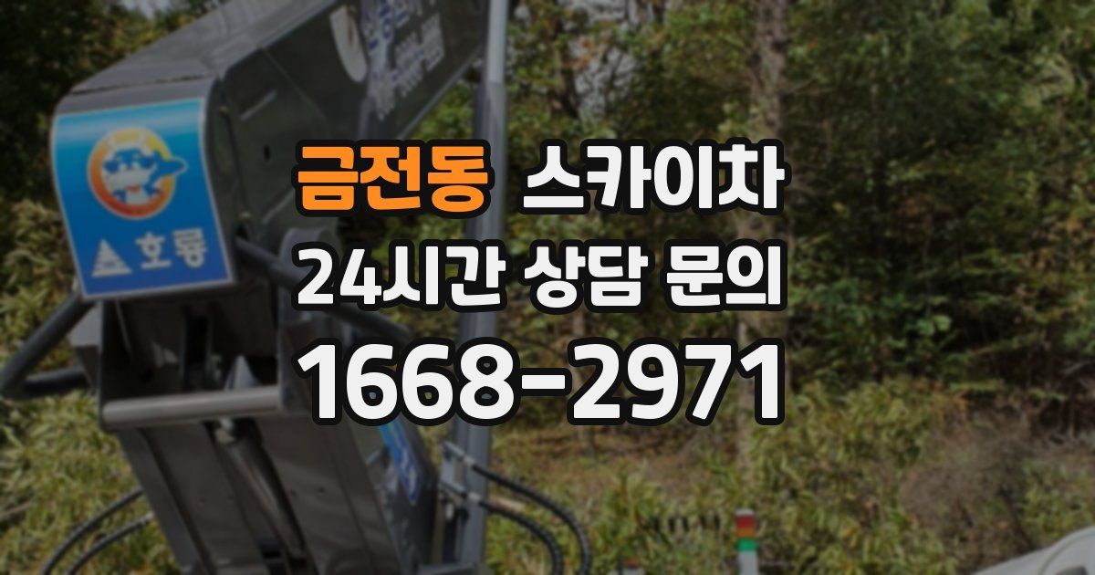 금전동 스카이차