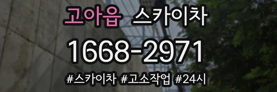 고아읍 스카이차