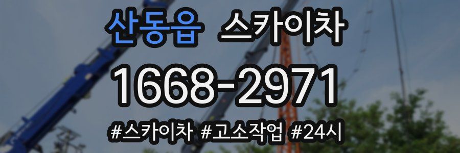 산동읍 스카이차