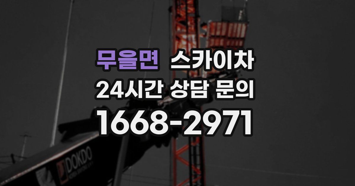 무을면 스카이차