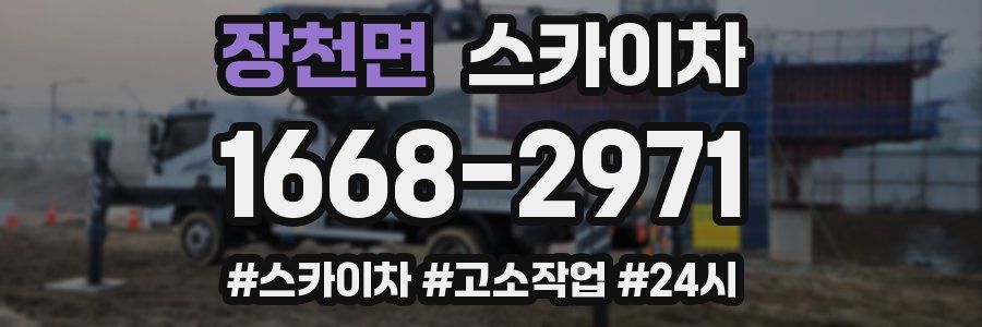 장천면 스카이차