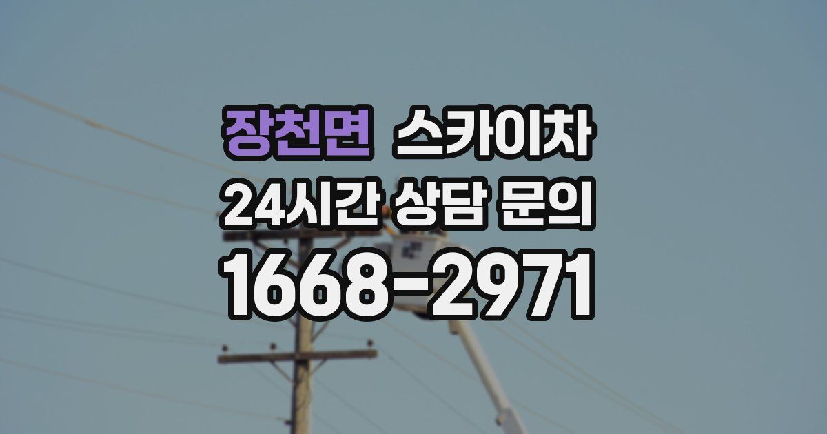 장천면 스카이차