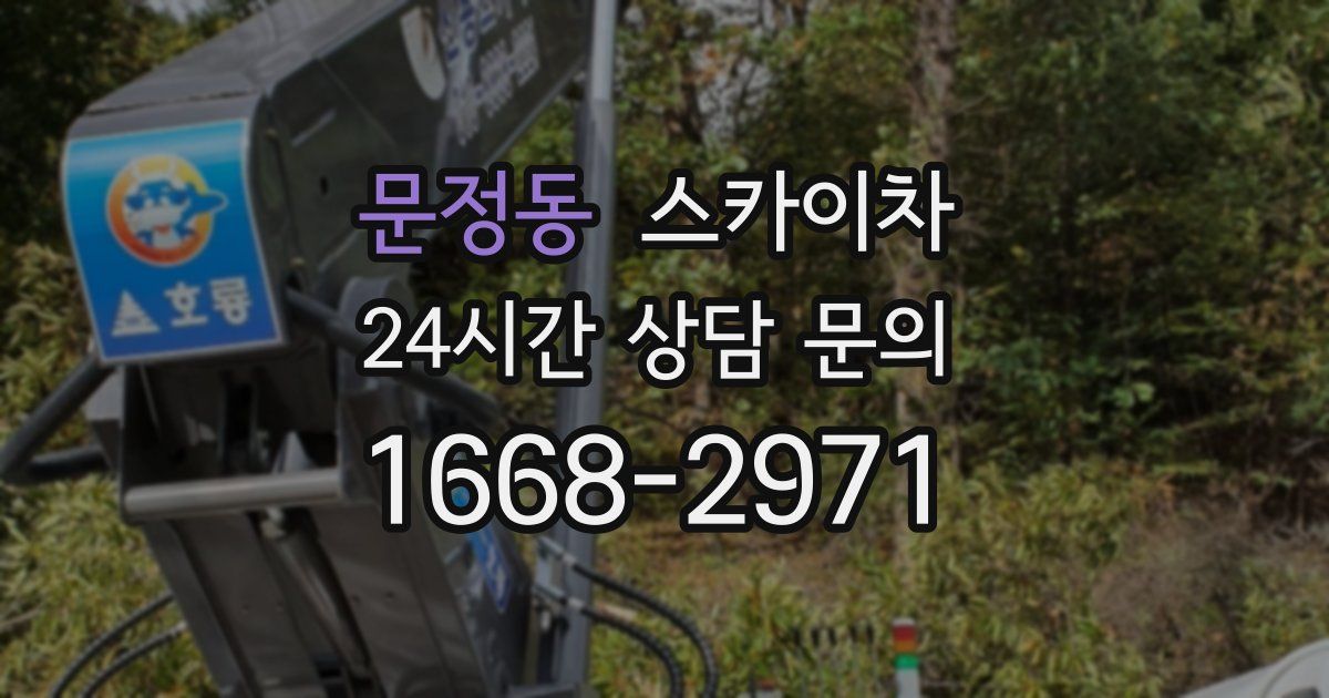 문정동 스카이차