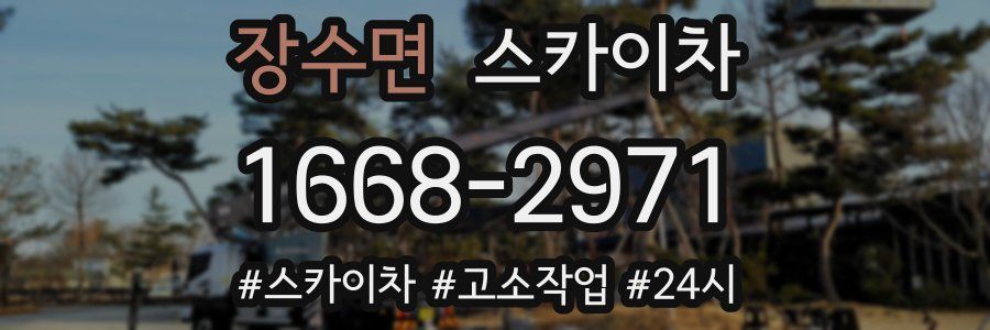 장수면 스카이차