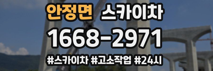 안정면 스카이차