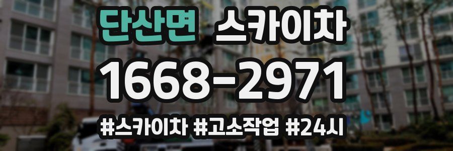 단산면 스카이차