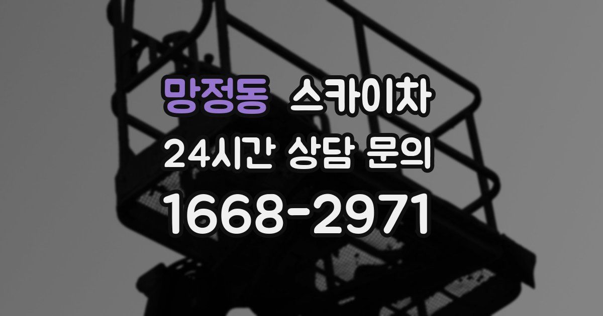 망정동 스카이차