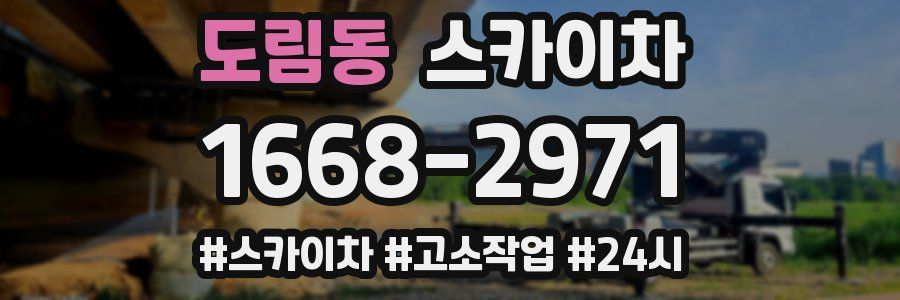 도림동 스카이차