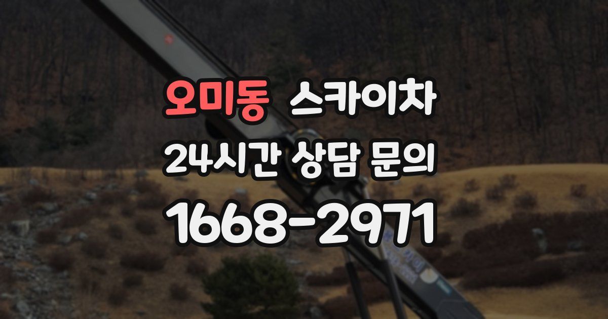 오미동 스카이차