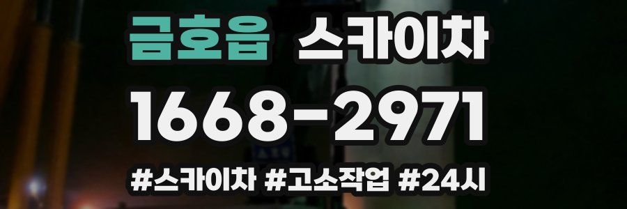 금호읍 스카이차