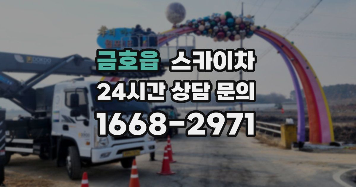 금호읍 스카이차