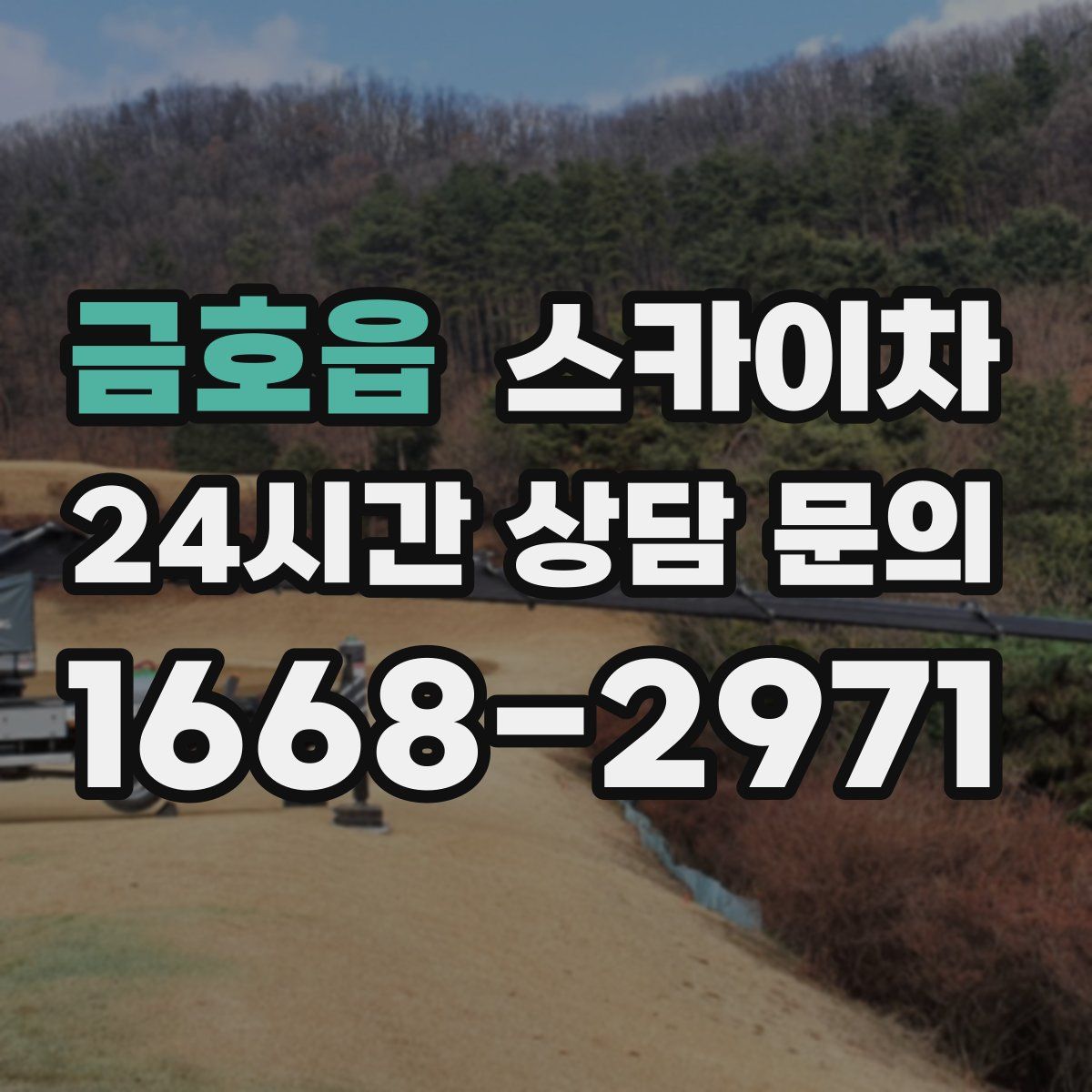 금호읍 스카이차