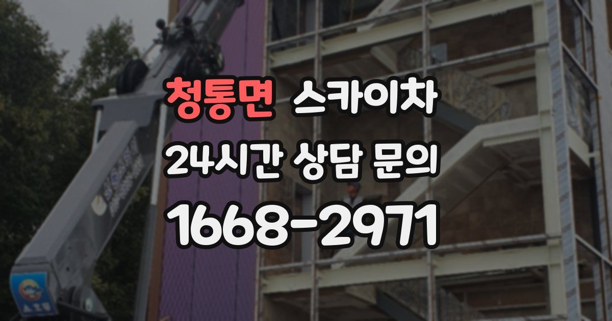 청통면 스카이차