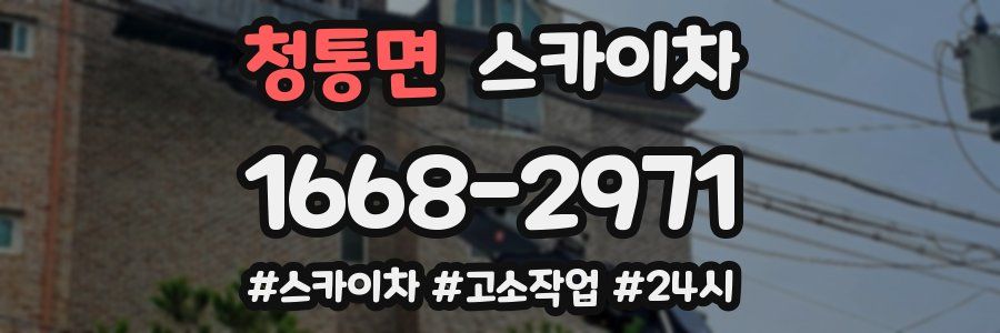 청통면 스카이차