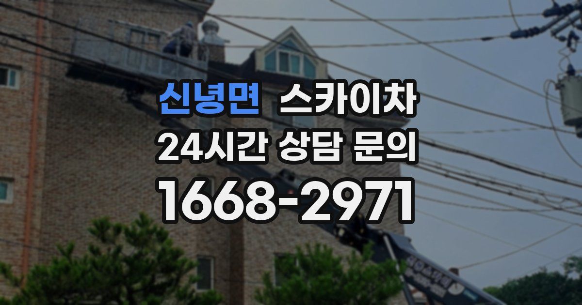 신녕면 스카이차