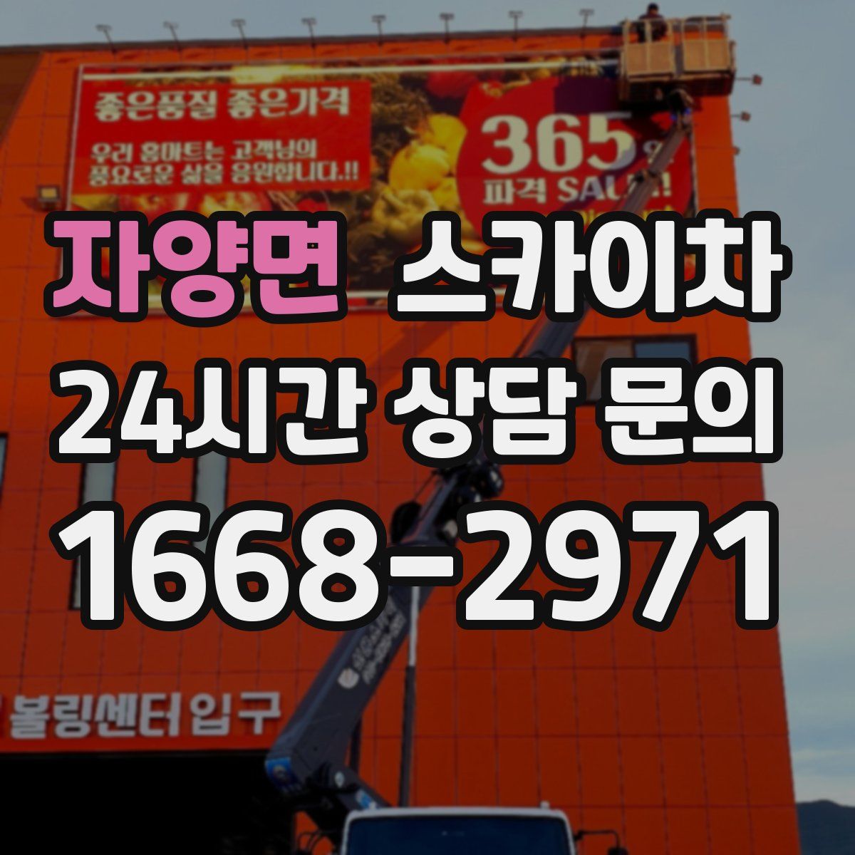 자양면 스카이차