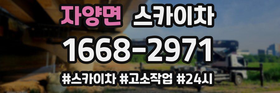 자양면 스카이차