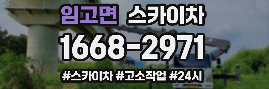 임고면 스카이차
