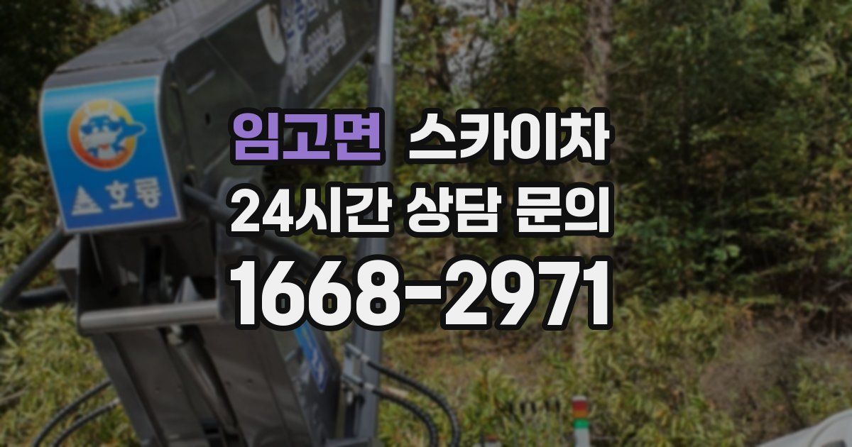 임고면 스카이차