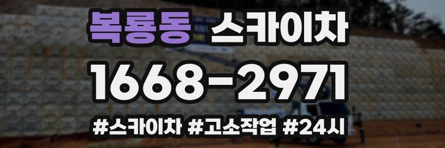 복룡동 스카이차