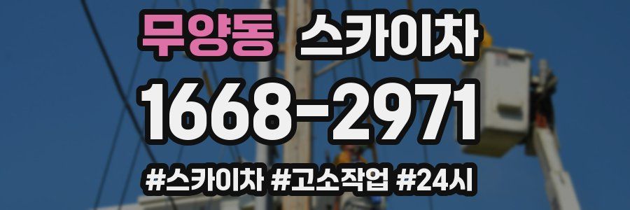 무양동 스카이차