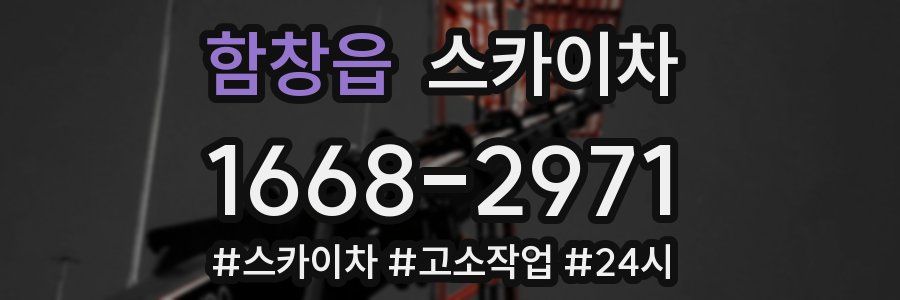 함창읍 스카이차