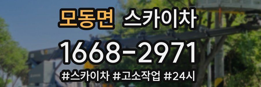 모동면 스카이차