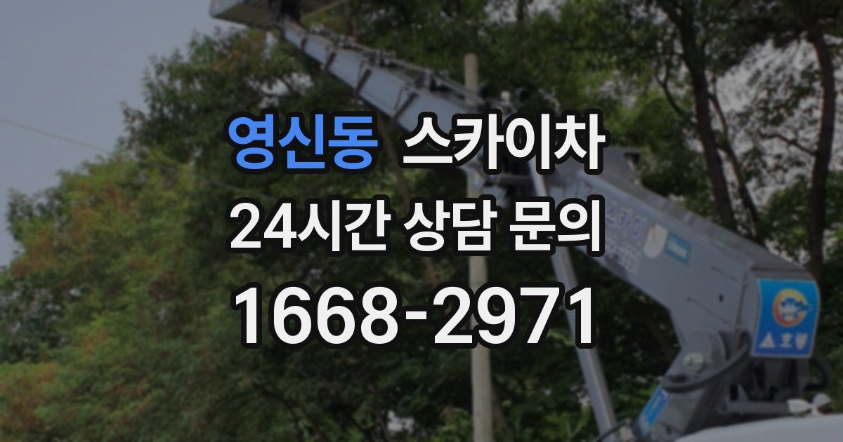 영신동 스카이차