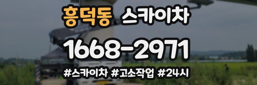 흥덕동 스카이차