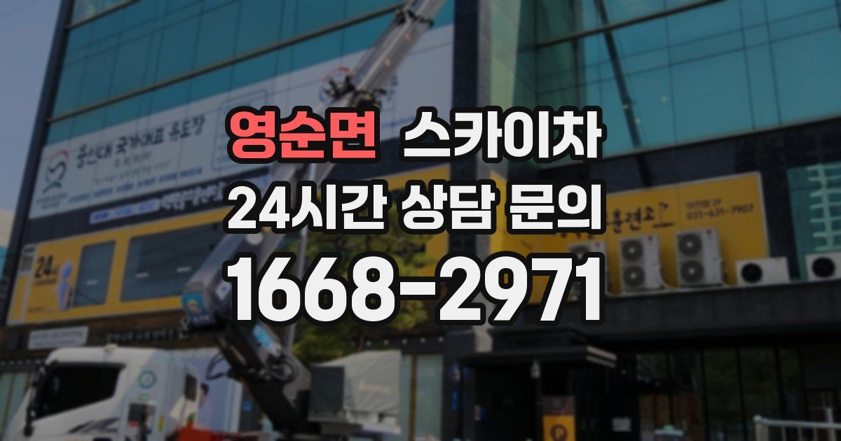 영순면 스카이차