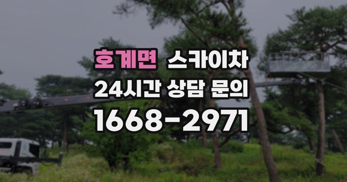 호계면 스카이차