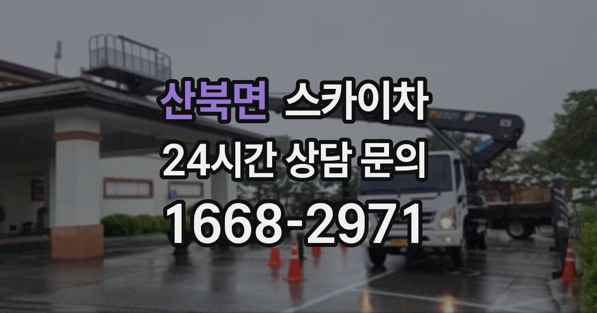 산북면 스카이차