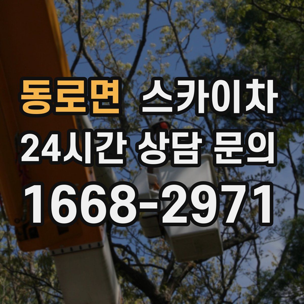 동로면 스카이차