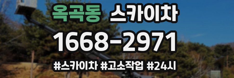 옥곡동 스카이차