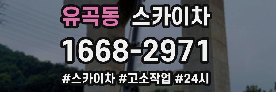 유곡동 스카이차
