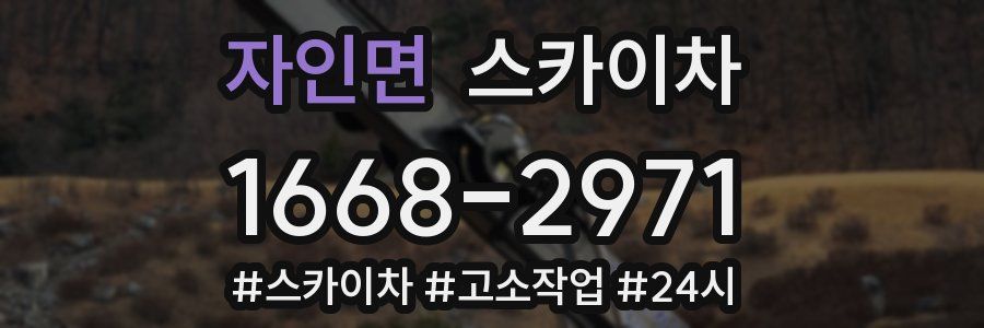 자인면 스카이차