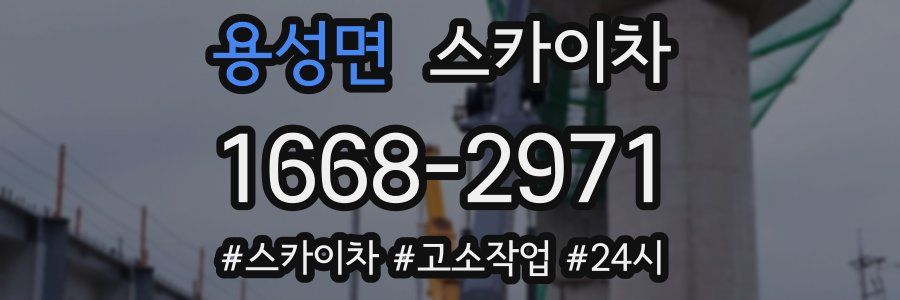 용성면 스카이차