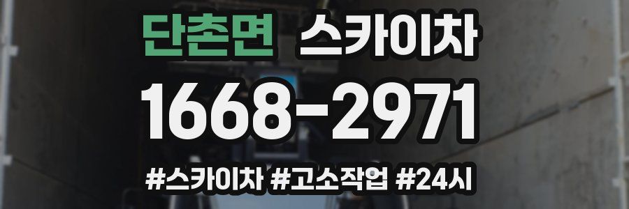 단촌면 스카이차