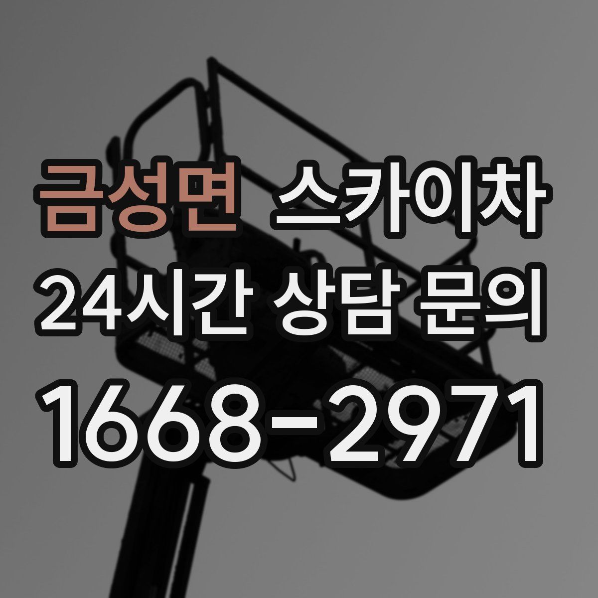 금성면 스카이차