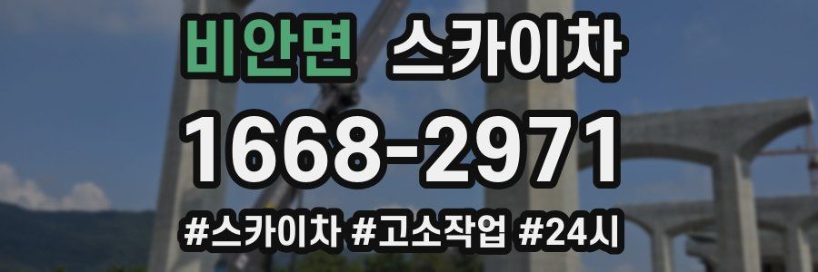 비안면 스카이차