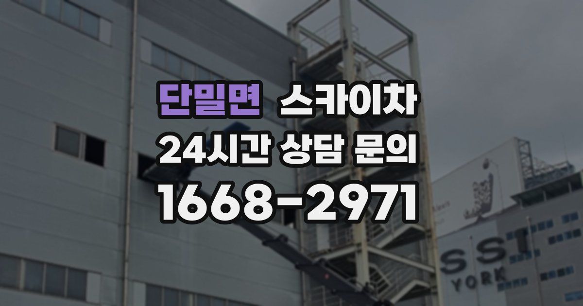 단밀면 스카이차