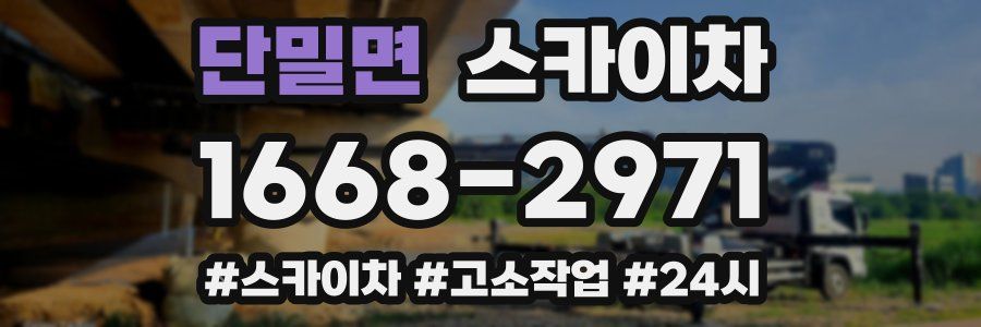 단밀면 스카이차