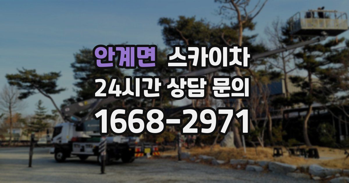 안계면 스카이차