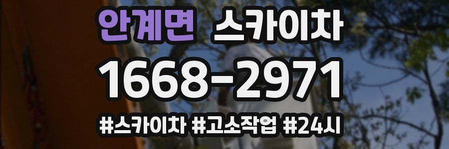 안계면 스카이차