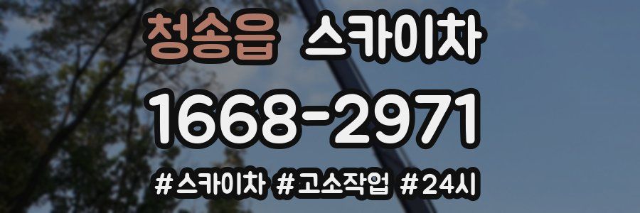 청송읍 스카이차