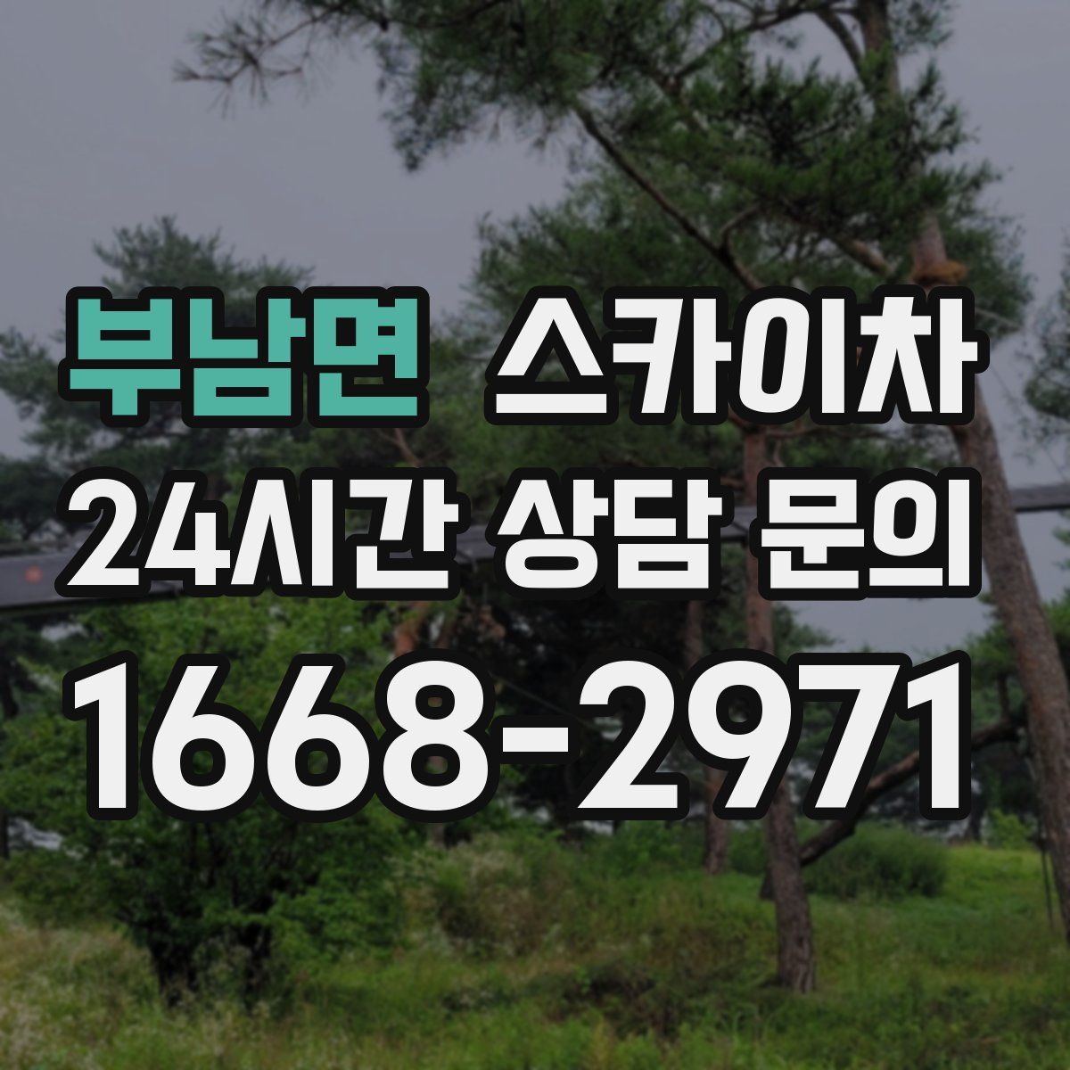 부남면 스카이차