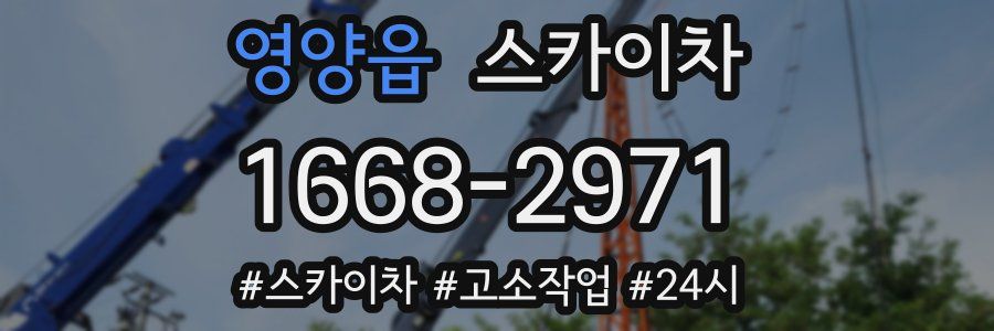 영양읍 스카이차