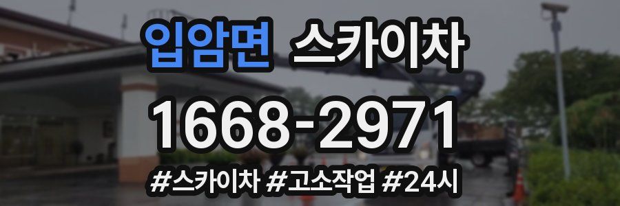 입암면 스카이차
